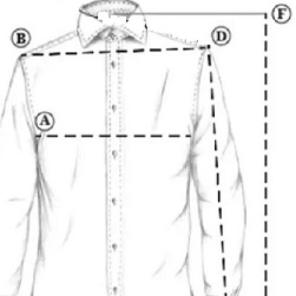 ❤️🎉HP🎉❤️ BODEN Toucan Bird Embroidered Linen Shirt, Olive, Size US 2P / … - Picture 12 of 13